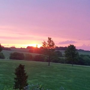 Meet your Posher, Regina